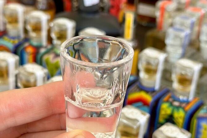 Cabo San Lucas Tequila Tasting & Mixology Class in Tasting room - Key Points
