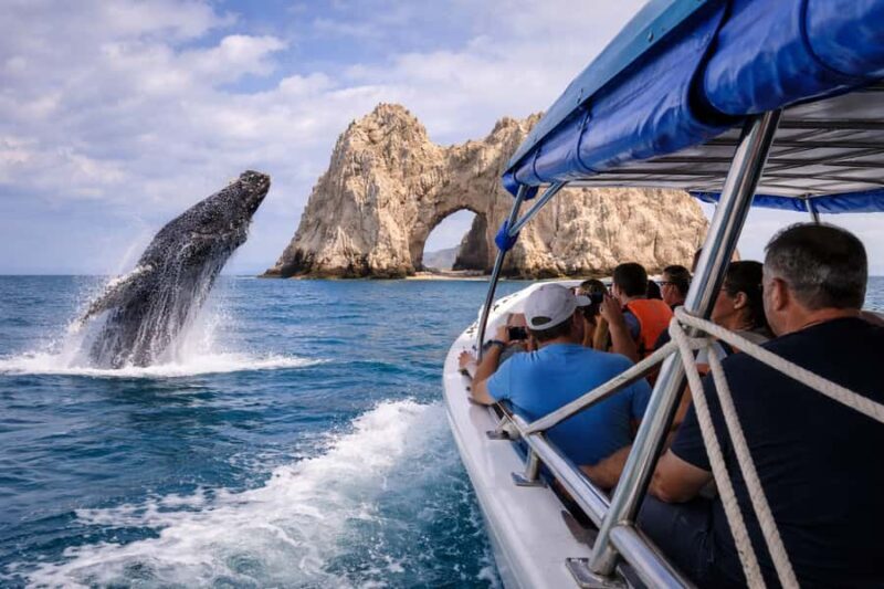 Cabo San Lucas Tour | Arch, Lovers Beach & Whale Waching - What Makes This Tour Stand Out