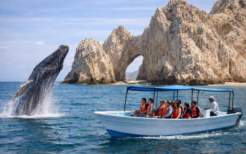 Cabo San Lucas Tour | Arch, Lovers Beach & Whale Waching - What Travelers Say