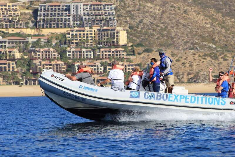 Cabo San Lucas: Up-Close Whale Watching Small-Group Tour - Introduction: An Authentic and Exciting Way to See Whales