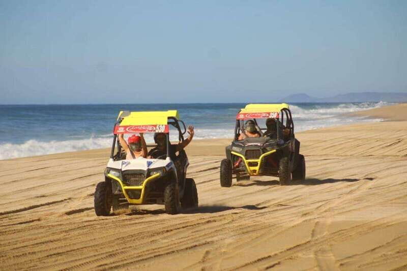 Cabo San Lucas: UTV Razor Tour of Migriño Desert and Beach - Key Points
