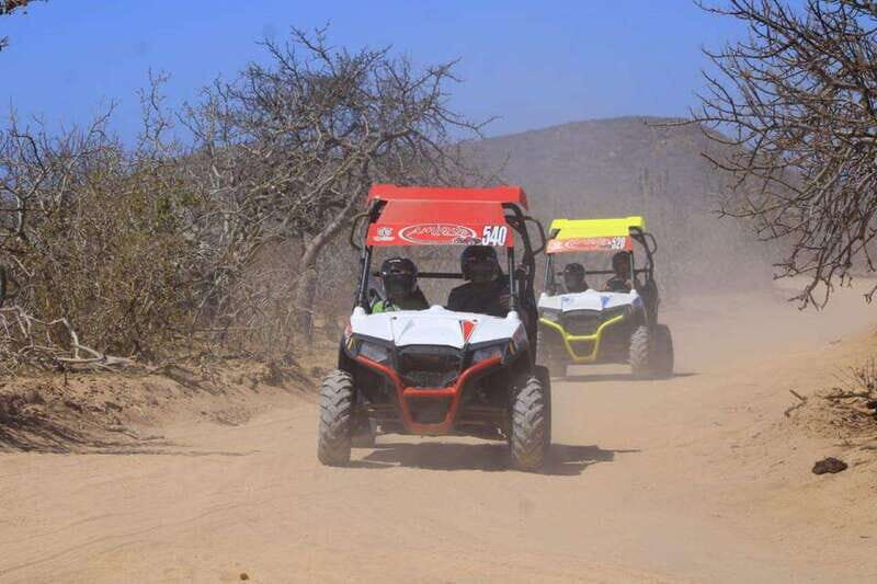 Cabo San Lucas: UTV Razor Tour of Migriño Desert and Beach - FAQ