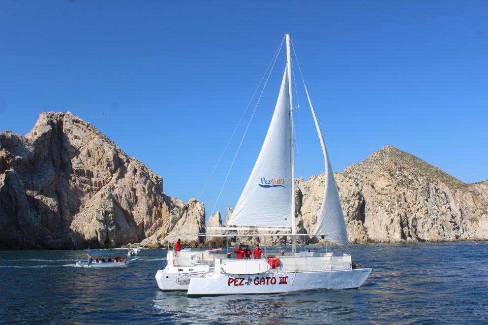 Cabo San Lucas: Whale Watching Experience on Catamaran - Booking and Availability