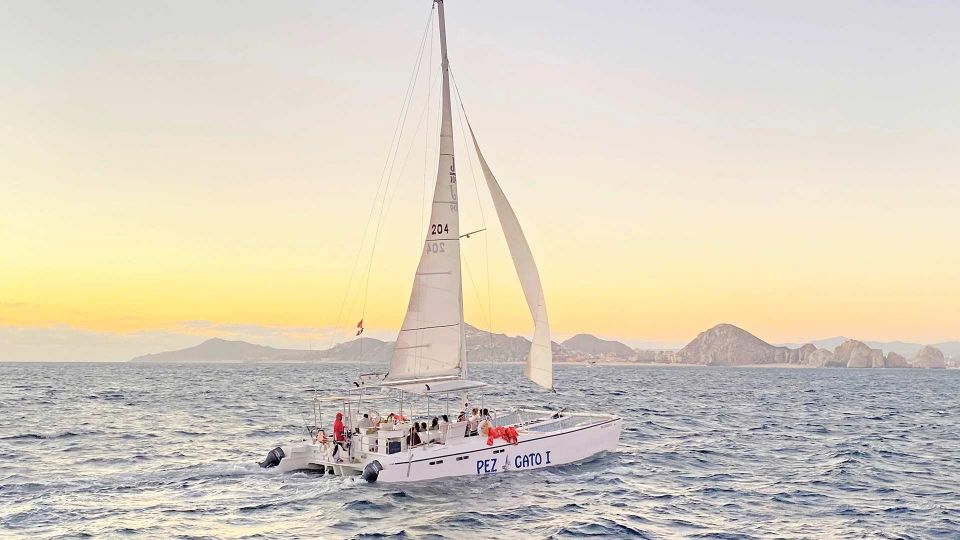 Cabo San Lucas: Whale Watching Experience on Catamaran - Frequently Asked Questions