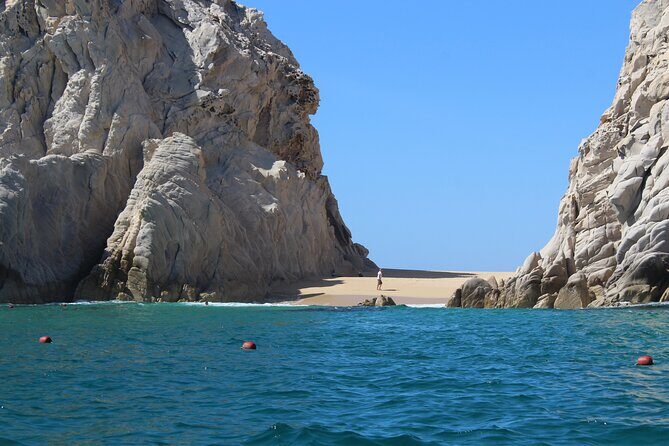 Cabo San Lucas Whale Watching Tour All Included - The Value of the Tour: Price, Duration, and Inclusions