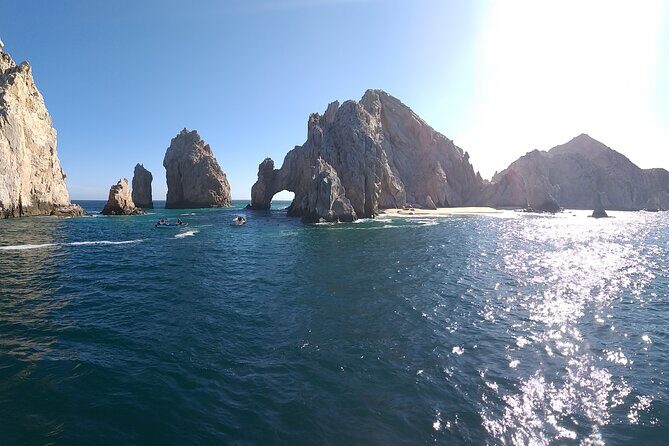 Cabo San Lucas Whale Watching Tour All Included - Authentic Experiences and Traveler Perspectives