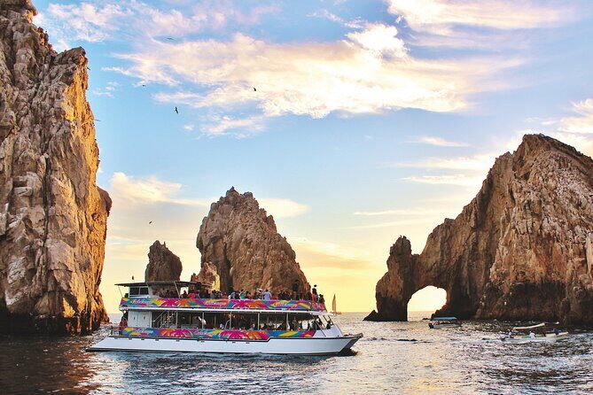 Cabo San Lucas Whale Watching Tour All Included - Who Will Enjoy This Tour?