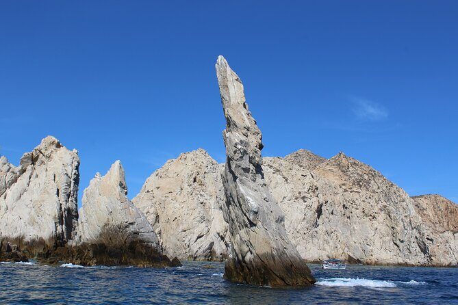 Cabo San Lucas Whale Watching Tour All Included - FAQs