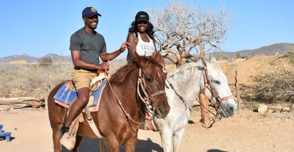 Cabo San Lucas: White Sand Horseback Adventure - Key Points
