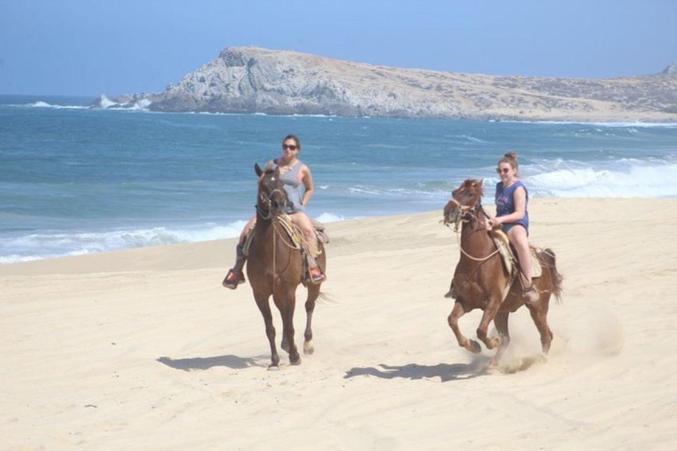 Cabo San Lucas: White Sand Horseback Adventure - Highlights of the Tour