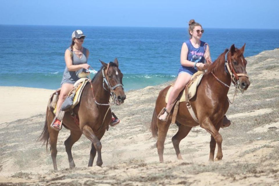 Cabo San Lucas: White Sand Horseback Adventure - Inclusions and Exclusions