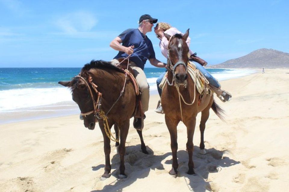 Cabo San Lucas: White Sand Horseback Adventure - Transportation and Van Pickup