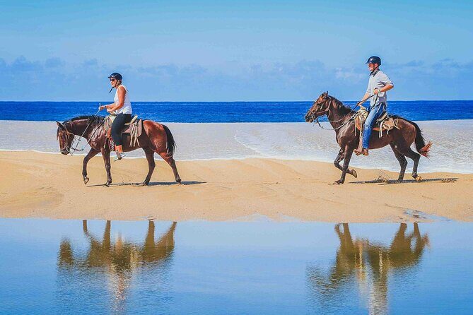 Cabo Shore Excursion: Beach Horseback Ride & Tequila Tasting - The Details of Your Cabo Horseback Adventure