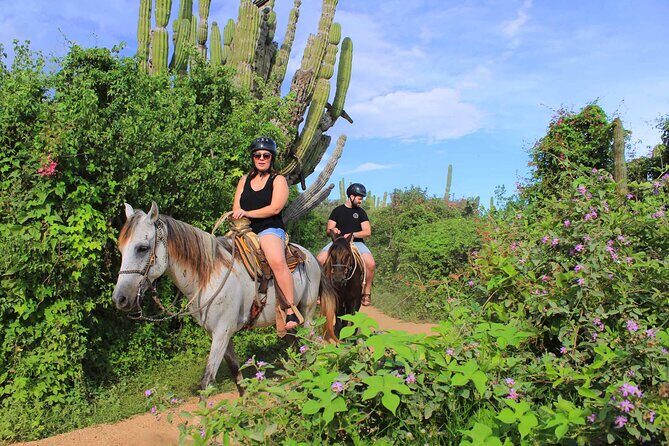 Cabo Shore Excursion: Beach Horseback Ride & Tequila Tasting - Who Should Consider This Tour?