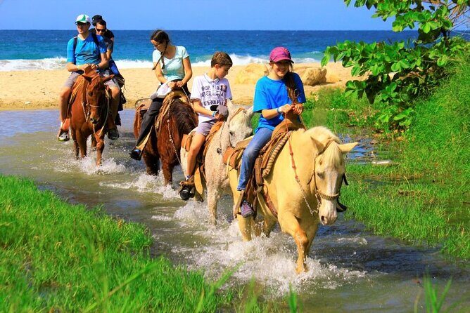 Cabo Shore Excursion: Beach Horseback Ride & Tequila Tasting - Final Thoughts on Value and Experience