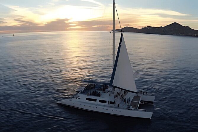 Cabo Sunset Catamaran Cruise: El Arco & Open Bar Experience - Key Points