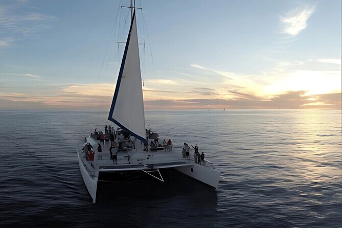 Cabo Sunset Catamaran Cruise: El Arco & Open Bar Experience - Practical Tips for Your Sunset Cruise