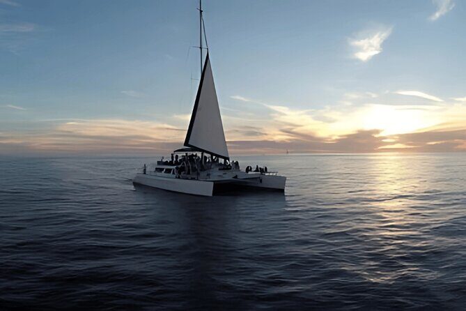 Cabo Sunset Catamaran Cruise: El Arco & Open Bar Experience - The Sum Up