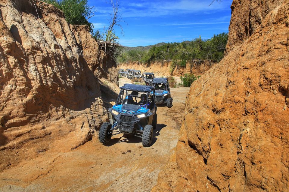 Cabo: UTV Off-Roading, Mexican Lunch, and Tequila - Included Experiences