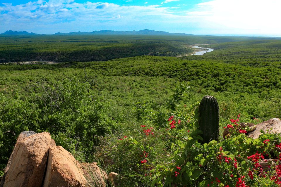Cabo: UTV Off-Roading, Mexican Lunch, and Tequila - Transportation and Logistics