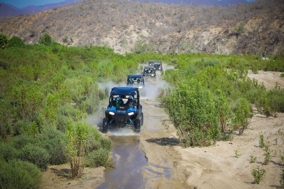 Cabo: UTV Off-Roading, Mexican Lunch, and Tequila - Cuisine and Tastings