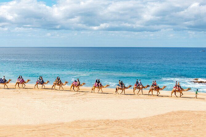 Cabo UTV Tour Free Camel Sky Bike - An All-in-One Adventure in Los Cabos