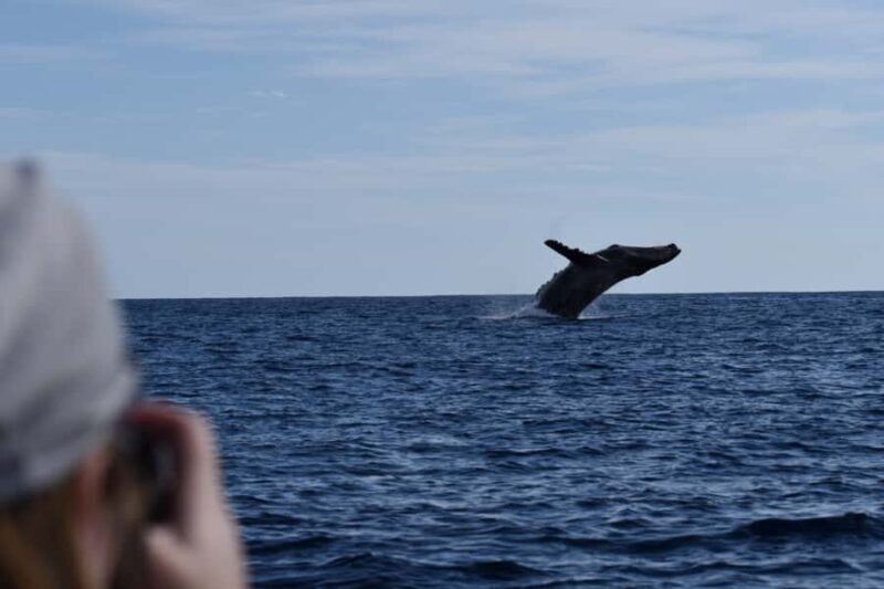 Cabo: Whale-Whatching Boat Trip w/ All-Women Crew and Photos - Authenticity, Value, and Who Will Love This Tour