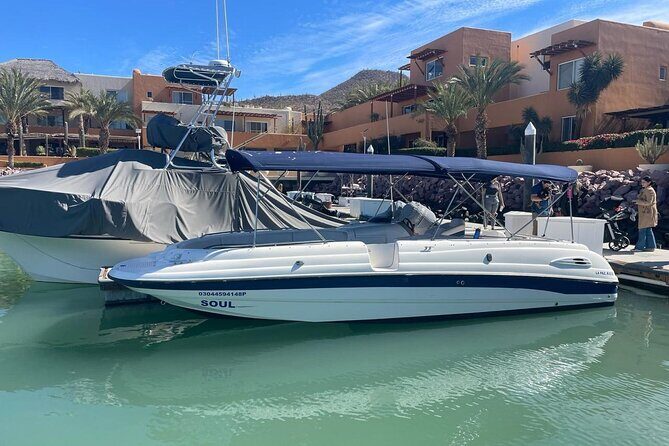 Cabo Yacht Tour to Lovers or Pelícano Beach + Beach Time - The Scenic Cruise: Views and Marine Life