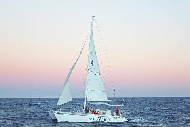 Cabo's Premier Catamaran Snorkeling: Explore the Waters! - Authentic Marine Encounters and Scenic Views