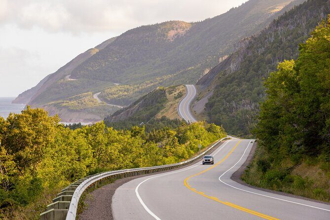 Cabot Trail Bus Tour for Cruise Excursion - Who Will Love This Tour?