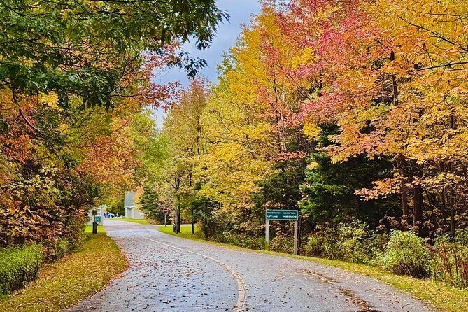 Cabot Trail Scenic Culture and Adventure Drive Tour - Introduction: Why This Tour Might Be Your Perfect Cabot Trail Companion