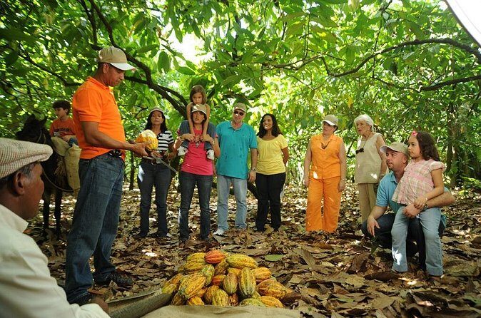 Cacao Plantation and Chocolate Factory Tour- Classic - FAQ