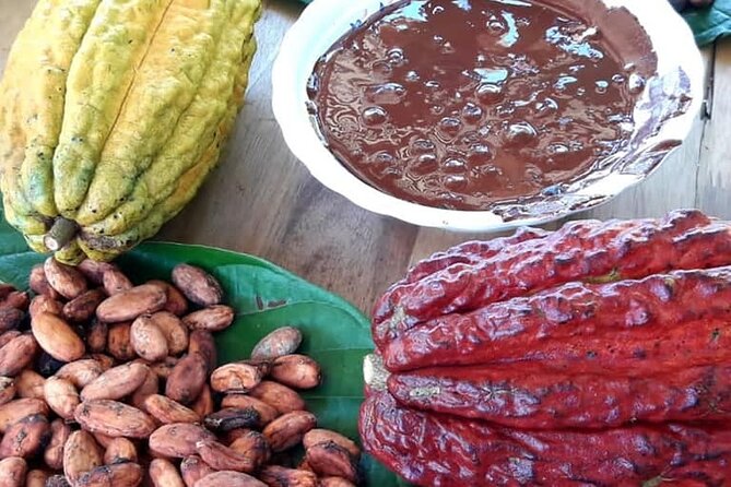 Cacao Tour - Good To Know