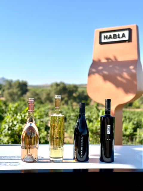 Cáceres: Bodegas Habla - Who Will Enjoy This Experience Most?