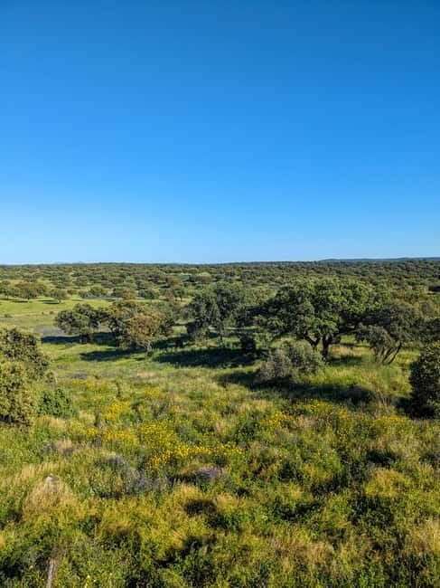 Cáceres: Monfrague Wildlife Full-Day Tour - An In-Depth Look at the Cáceres: Monfrague Wildlife Full-Day Tour