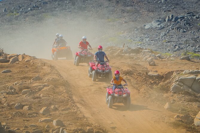 Cactus Combo Combine Two of Your Favorite Desert Tours - Safety and Health Considerations