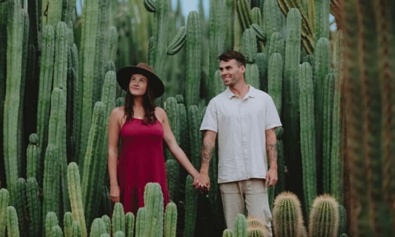 Cactus Country: Entry Ticket - Price and Value Analysis