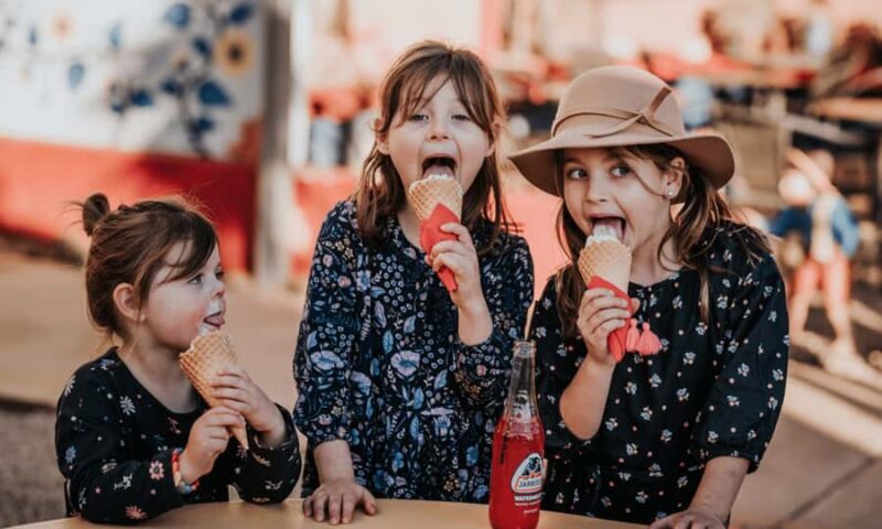 Cactus Country: Entry Ticket - Authentic Experiences and Visitor Feedback