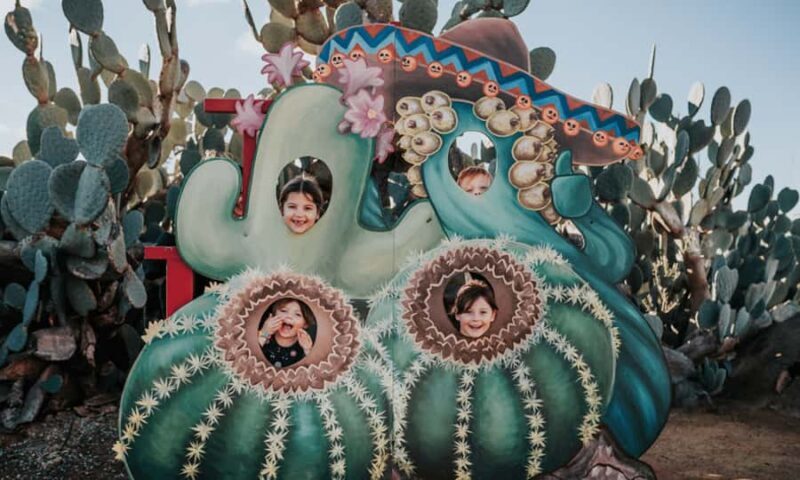 Cactus Country: Entry Ticket - Who Will Love This Experience?