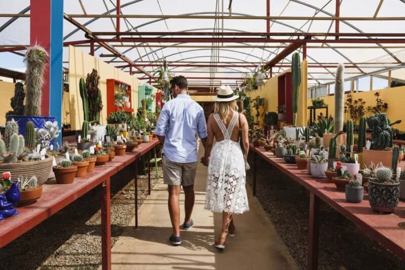 Cactus Country: Entry Ticket - The Sum Up