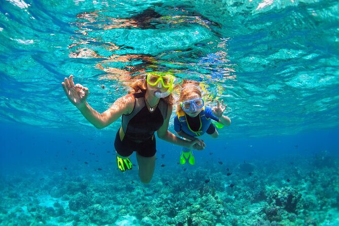 Cadaqués Swimming Adventure - Key Points