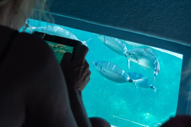 Cadaqués Tour 1 hour stop and Super Vision underwater - Who Will Enjoy This Tour?