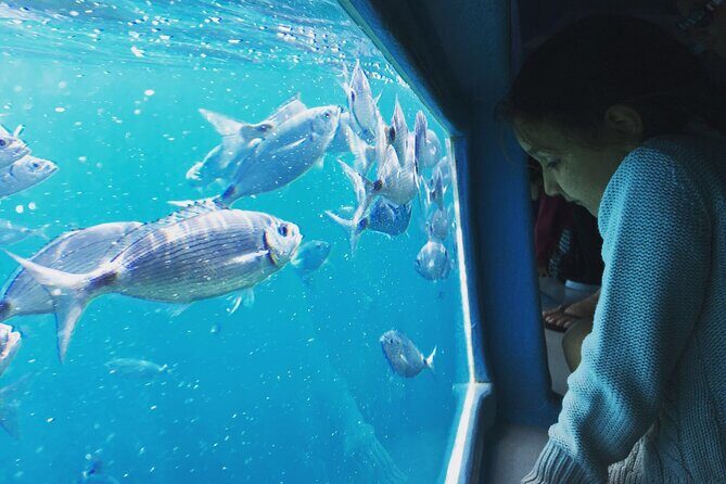 Cadaqués Tour 1 hour stop and Super Vision underwater - FAQ