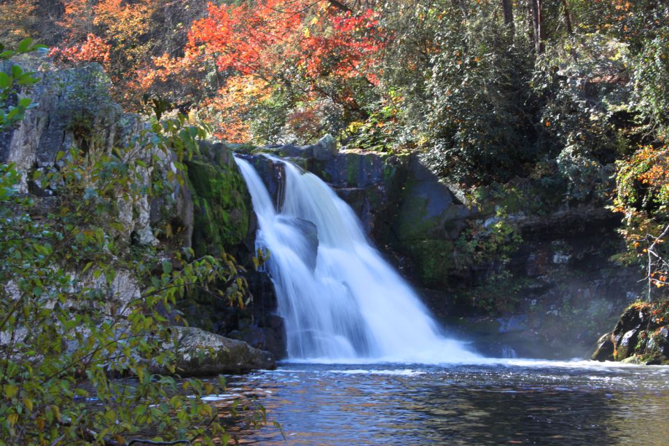 Cades Cove: Self-Guided Sightseeing and Driving Audio Tour - Key Highlights