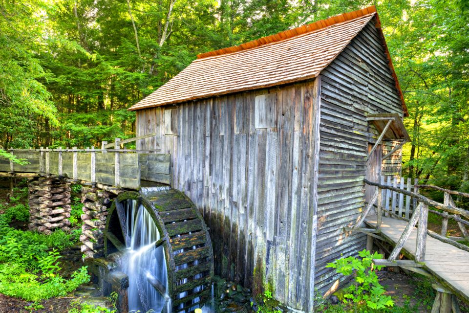 Cades Cove: Self-Guided Sightseeing and Driving Audio Tour - Wildlife and Natural Beauty