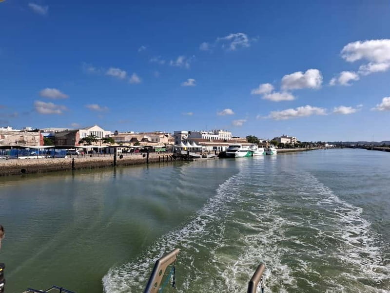 Cadiz and its Bay: a day trip from Seville - The Sum Up: Who Should Consider This Tour?