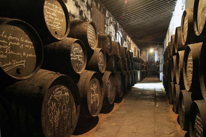 Cadiz and Jerez Day Trip From Seville - Guided Walking Tours