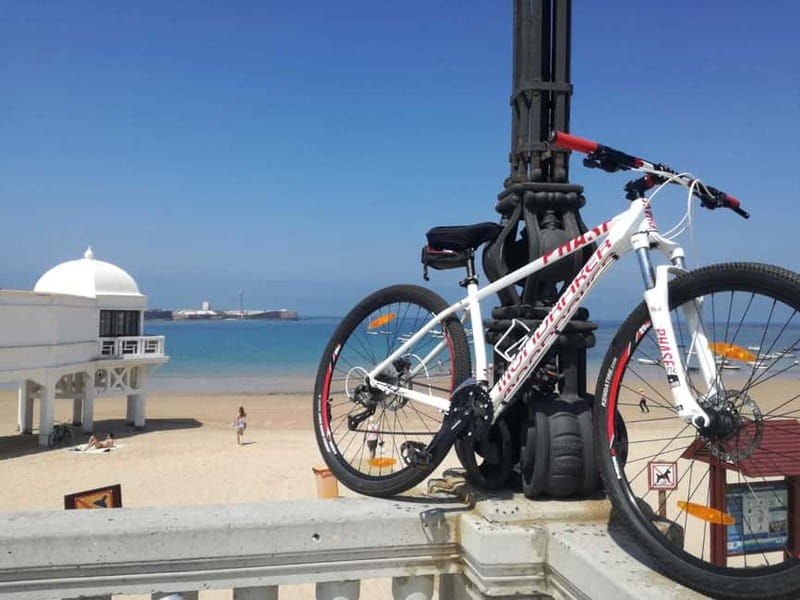Cádiz: Guided Bike Tour - The Guides: Passionate and Knowledgeable