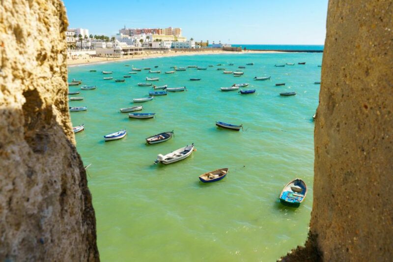 Cadiz in 1 Day: Walking Tour With Digital Guide - Booking and Participation Details
