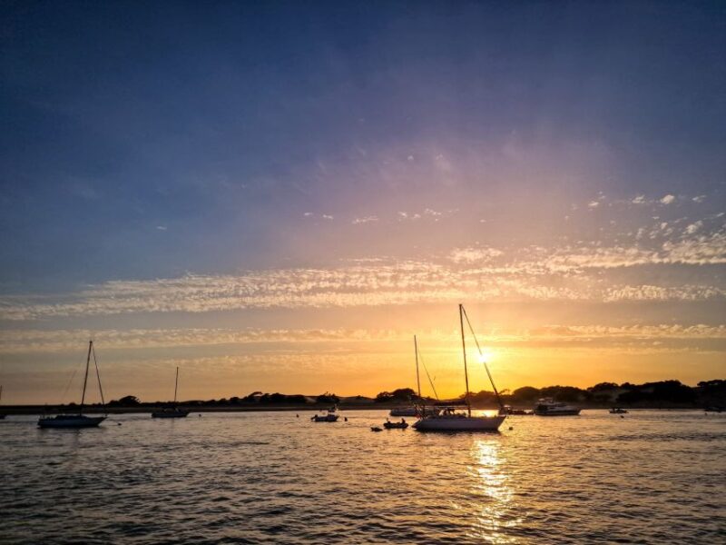 Cadiz: Private 2-Hour Catamaran Rental With Personal Captain - Experience Highlights